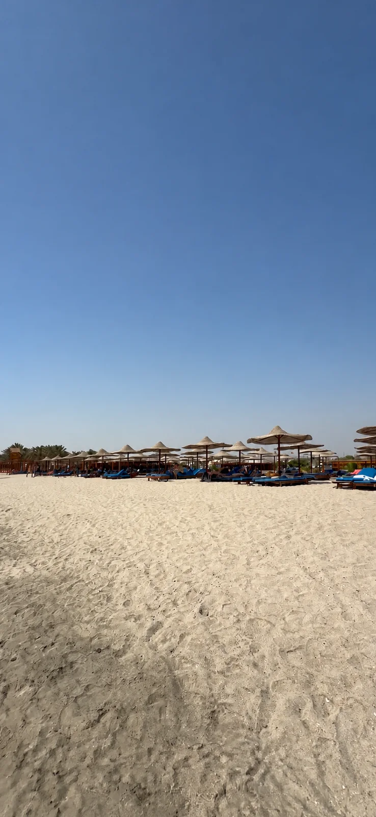 Turtle Beach Abu Dabbab trip photo 1