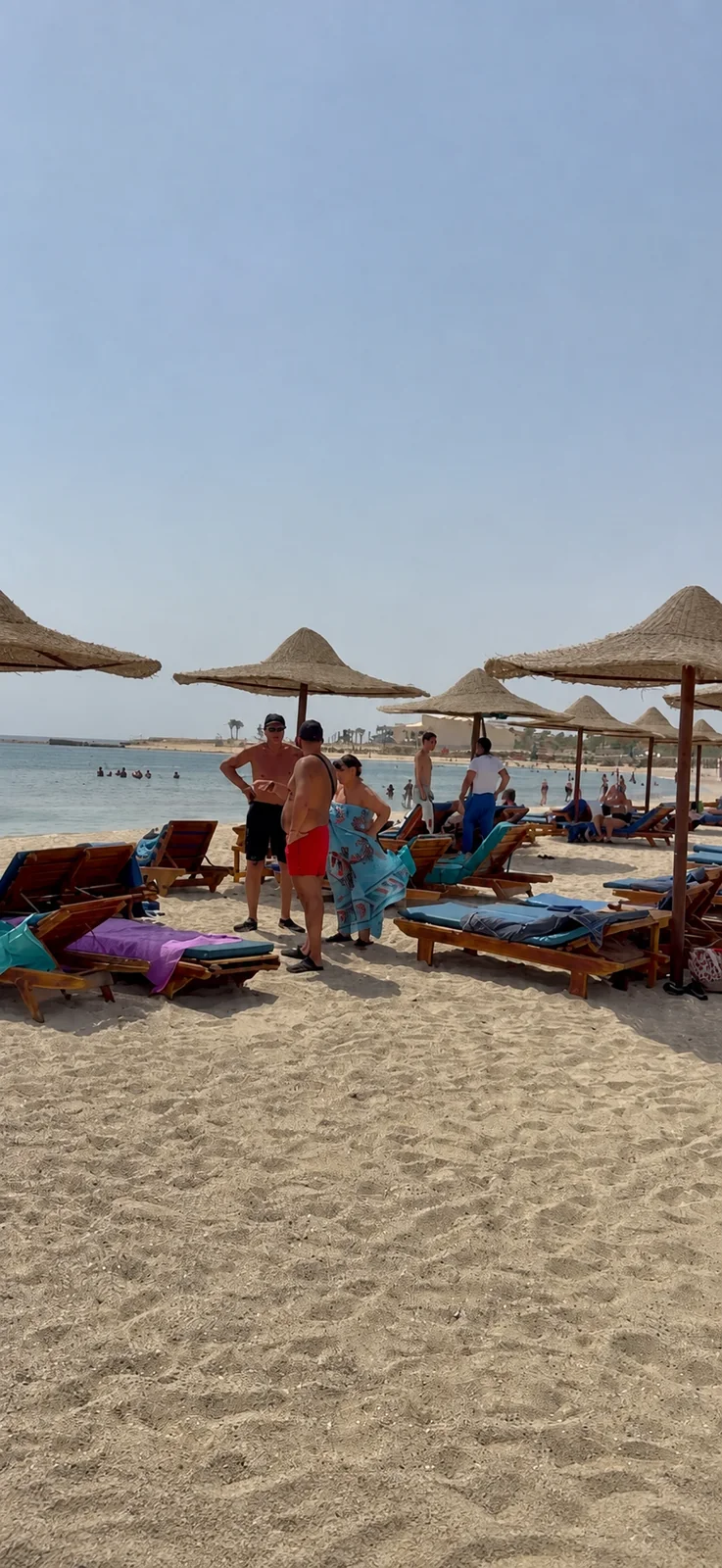 Turtle Beach Abu Dabbab trip photo 2