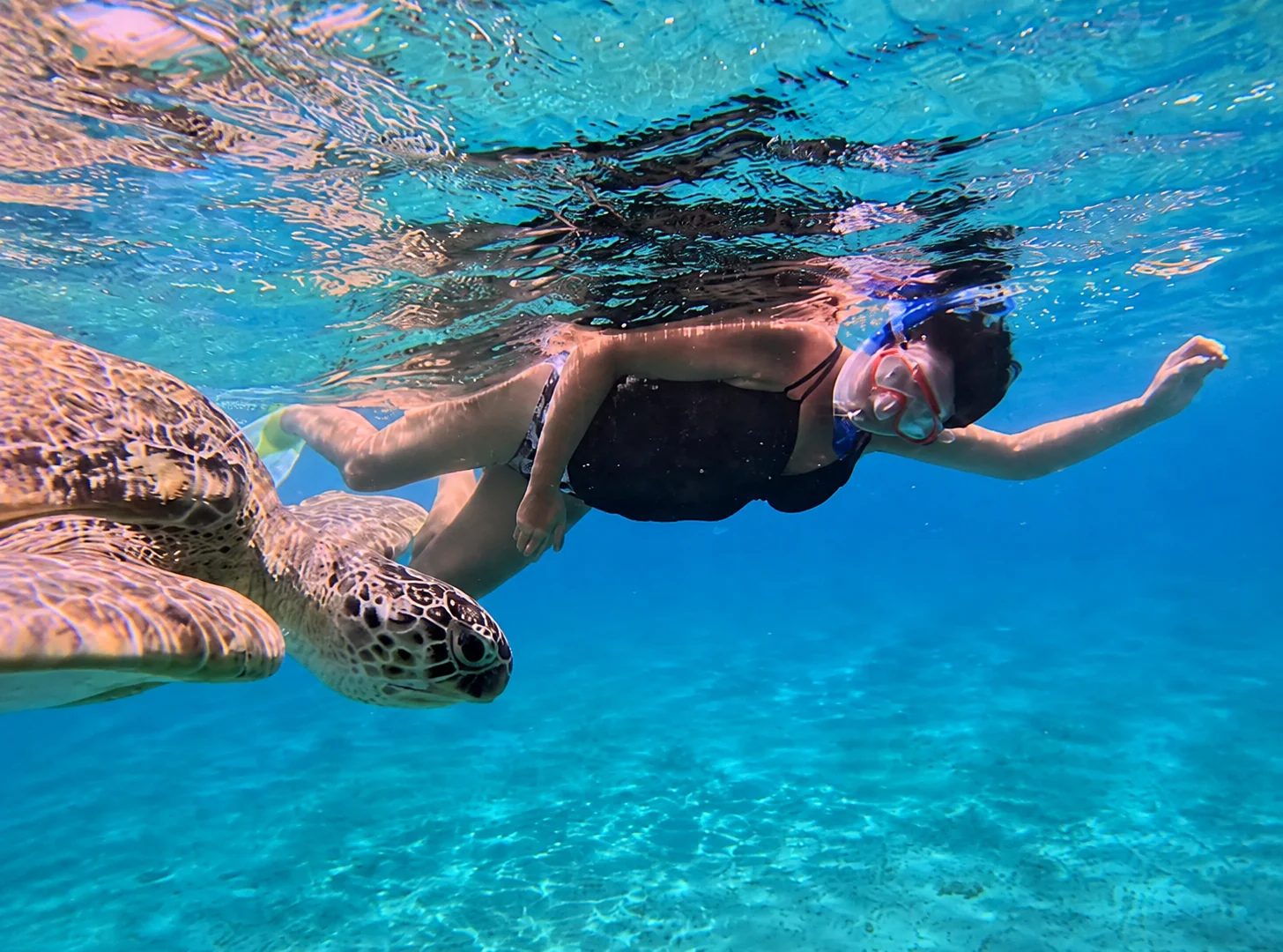 Turtle Beach Abu Dabbab trip photo 3