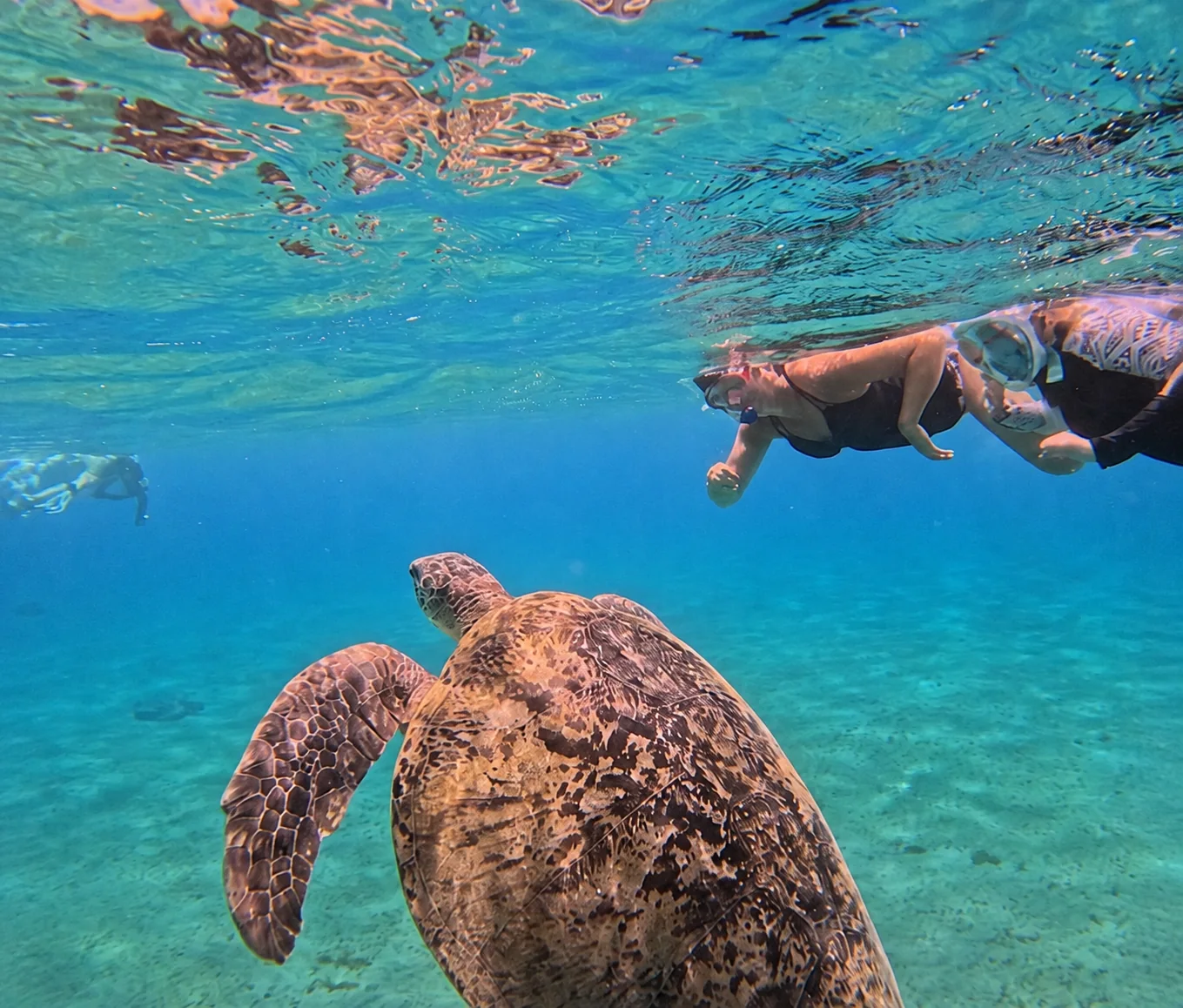 Turtle Beach Abu Dabbab trip photo 4