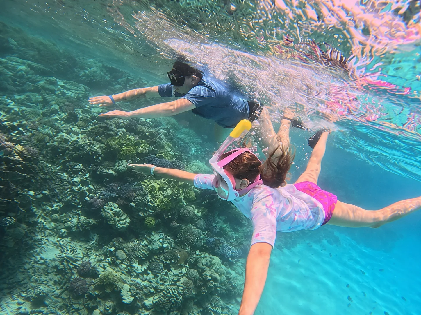 Turtle Beach Abu Dabbab trip photo 6