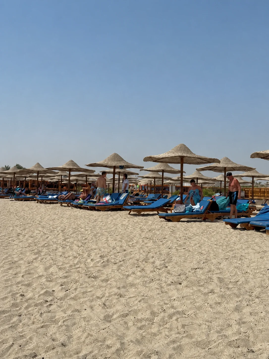 Turtle Beach Abu Dabbab trip photo 8