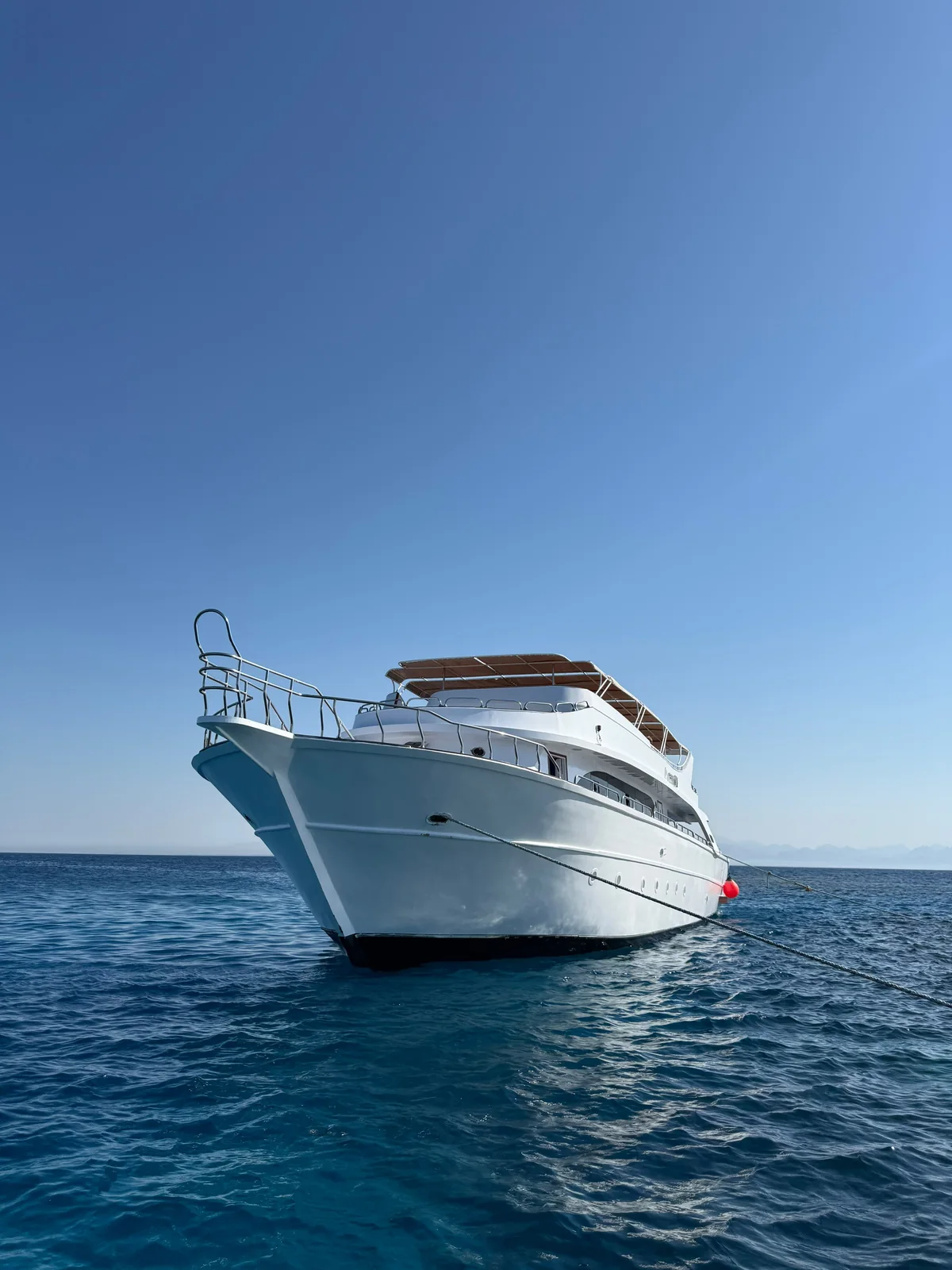 Dolphin Experience boat and Red Sea photo 1