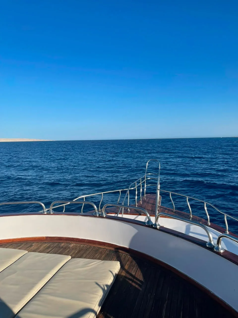 Dolphin Experience boat and Red Sea photo 5