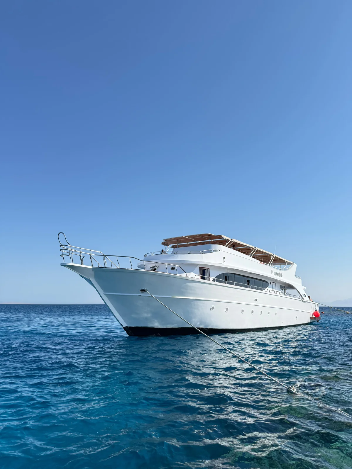 Dolphin Experience boat and Red Sea photo 6