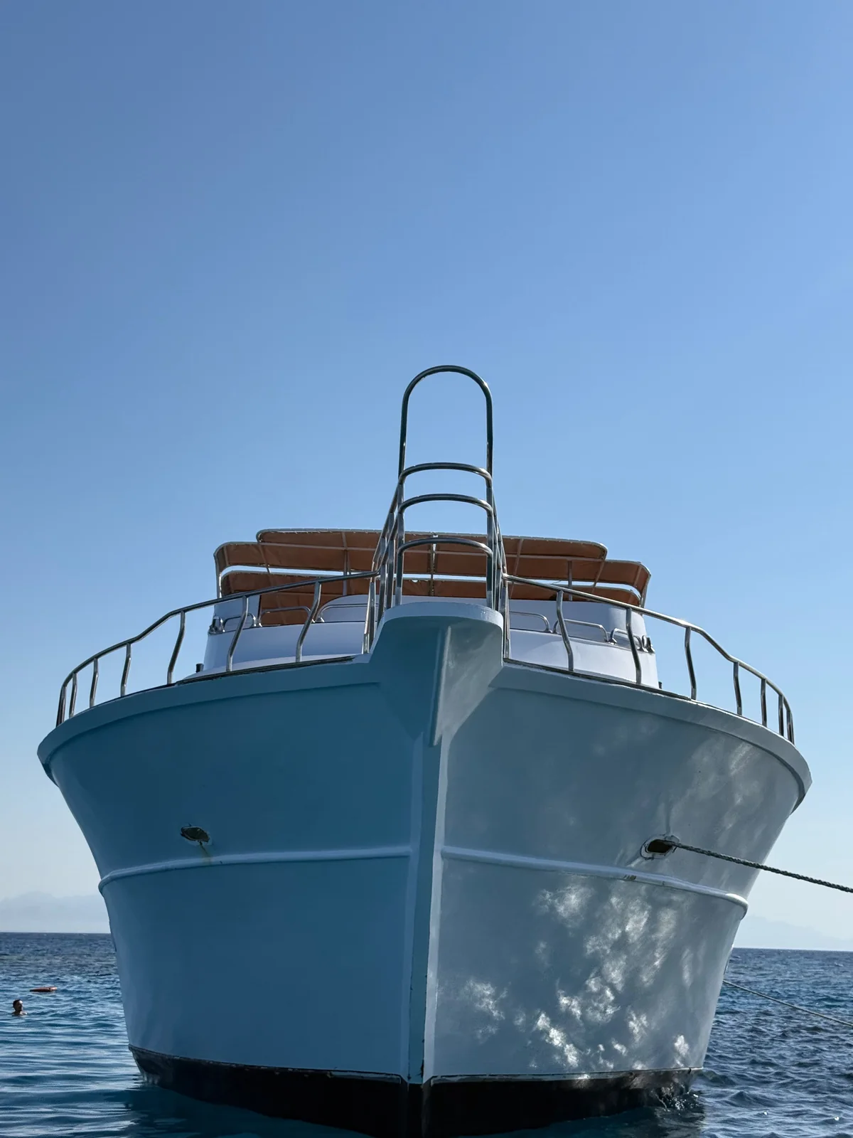 Dolphin Experience boat and Red Sea photo 8